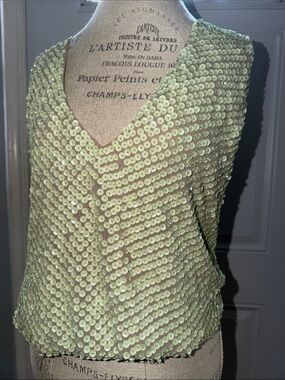 Pastel Green sequin top over silk chiffon fabric